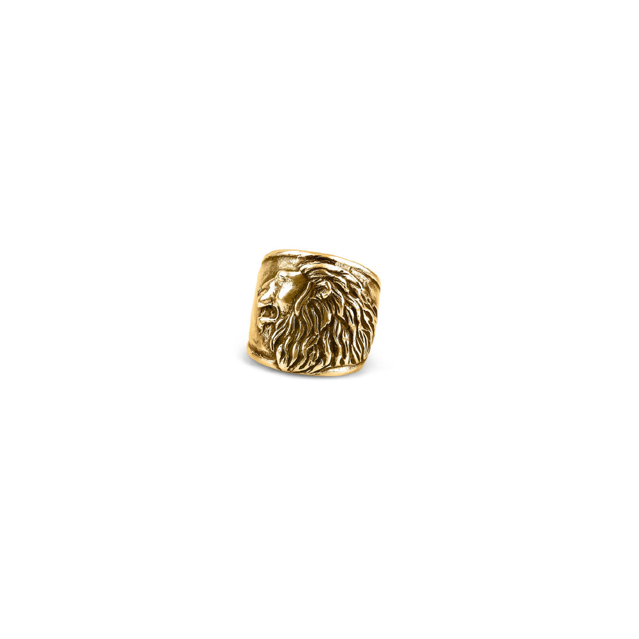 Lion's Pride Gold Ring (A2687)